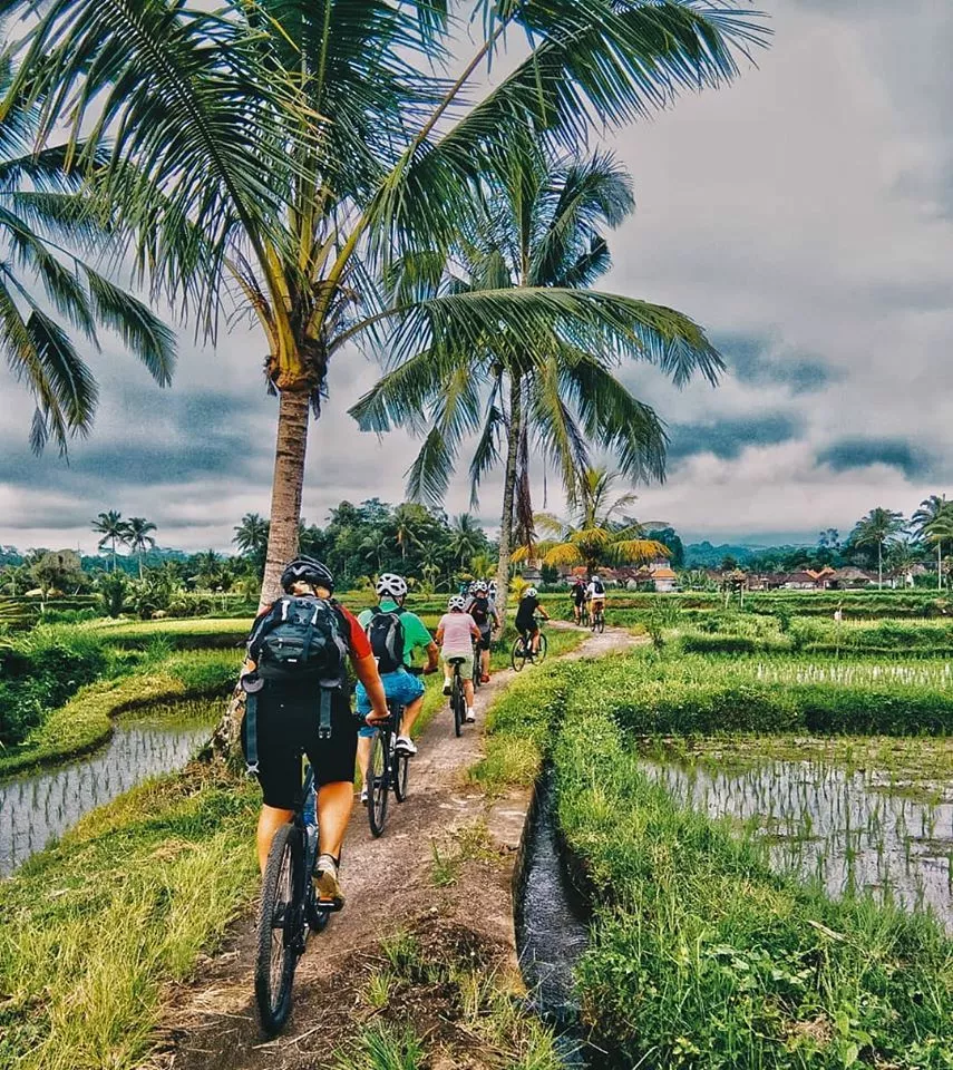 Eco Cycling